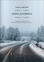 Važna je strešica (naslovnica)